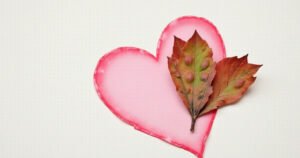 25 DIY Nature-Inspired Valentine Crafts